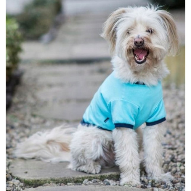 Amiplay- Μπλουζάκι σκύλου MIAMI είναι ένα αέρινο και άνετο μπλουζάκι με μανίκια μπλε