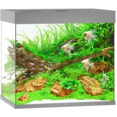 Juwel Lido 200 LED ενυδρείο Γκρι 71x51x65cm Juwel Lido 200 LED ενυδρείο Γκρι 71x51x65cm