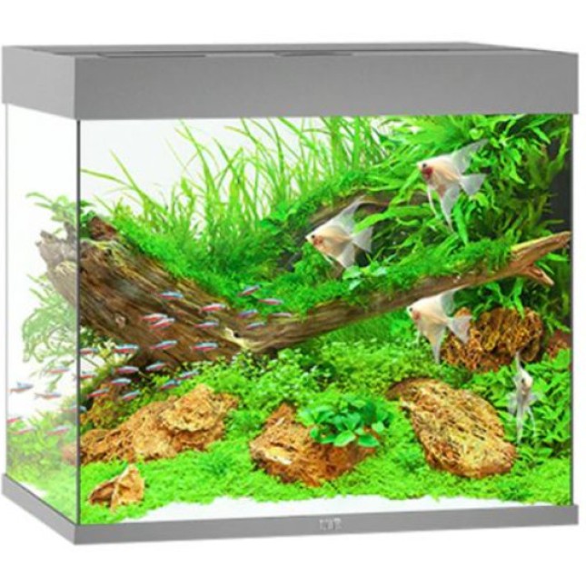 Juwel Lido LED Aquarium Γκρι ταιριάζει κομψά σε κάθε περιβάλλον χάρη στον διακριτικό σχεδιασμό του