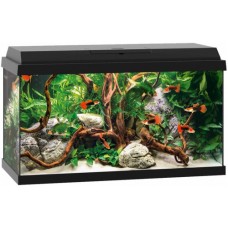 Juwel ενυδρείο Primo 60 μαύρο Int. 61x31x37cm Juwel ενυδρείο Primo 60 μαύρο Int. 61x31x37cm
