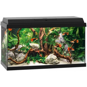 Juwel ενυδρείο Primo 60 μαύρο Int. 61x31x37cm Juwel ενυδρείο Primo 60 μαύρο Int. 61x31x37cm