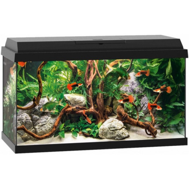 Juwel ενυδρείο Primo 70 μαύρο Int. 61x31x44cm Juwel ενυδρείο Primo 70 μαύρο Int. 61x31x44cm