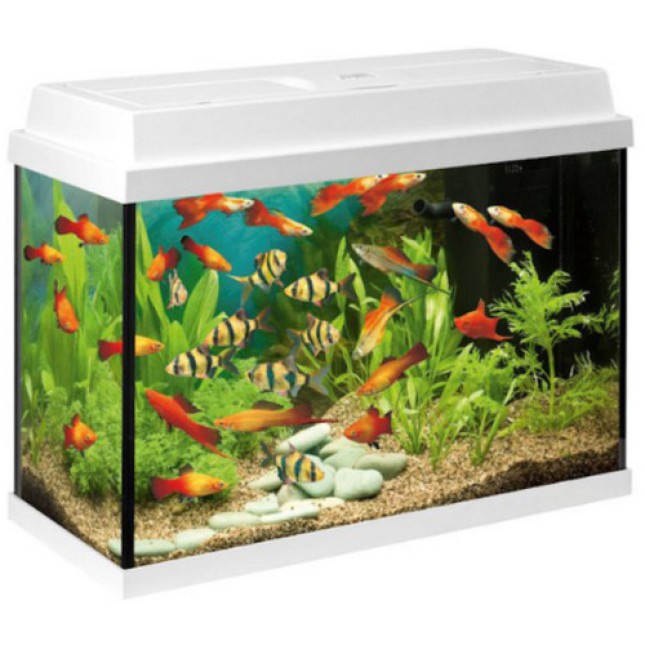 Juwel ενυδρείο Primo 70 λευκό Int. 61x31x44cm Juwel ενυδρείο Primo 70 λευκό Int. 61x31x44cm