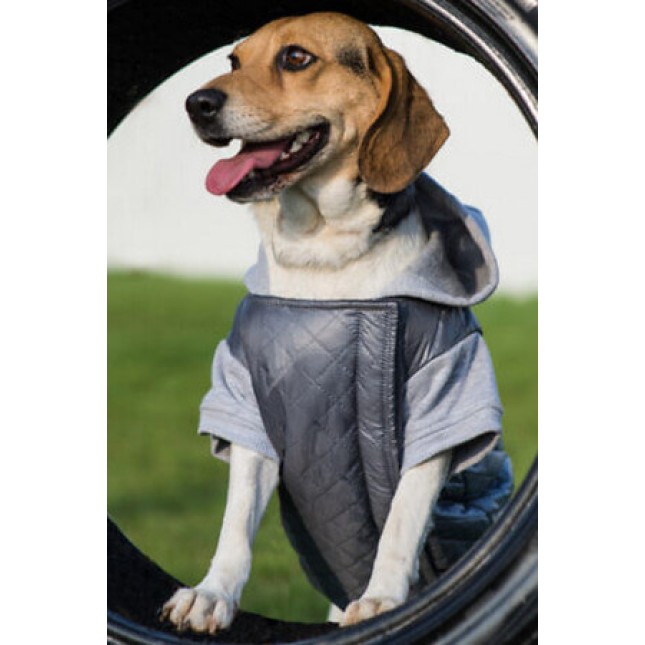 Amiplay-μπουφάν με κουκούλα για σκύλους BOSTON από αδιάβροχο καπιτονέ ύφασμα γκρι