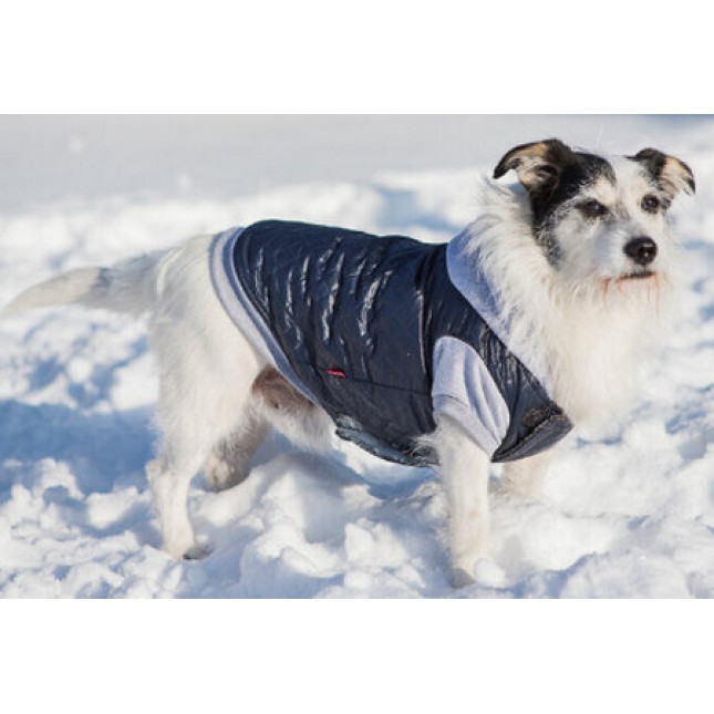 Amiplay-μπουφάν με κουκούλα για σκύλους BOSTON από αδιάβροχο καπιτονέ ύφασμα μπλε