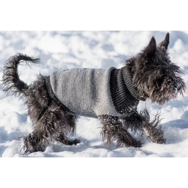 Amiplay-Πουλόβερ για σκυλάκια OSLO εξασφαλίζουν την άνεση τις κρύες μέρες του χειμώνα γκρι