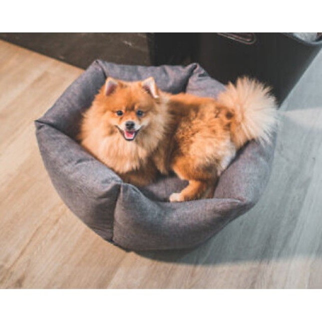 Amiplay- Κρεβάτι για σκύλους Crown PALERMO μοναδικό σχήμα και η κομψή εμφάνιση ανοικτό γκρι
