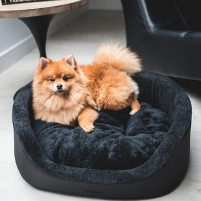 Amiplay Κρεβάτι για σκυλάκια Ellipse ASPEN με καθολικό σχήμα και κομψή εμφάνιση μαύρο