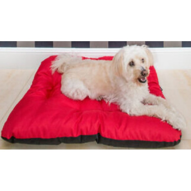 Amiplay-Τετράγωνο μαξιλάρι BASIC ένα εξαιρετικό μέρος για να ξεκουραστεί ο σκύλο σας κόκκινο