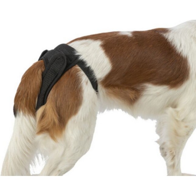 Trixie Βρακάκι προστατευτικό με πλέγμα S-Μ 35-43cm μαύρο