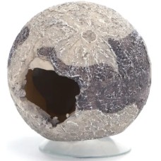 Nobleza Διακοσμητικό ενυδρείου φεγγάρι 6x6x6,5cm