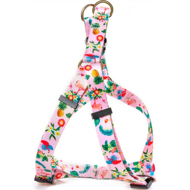 Glee Σαμαράκι Ιμάντα τύπου Α Flowers S 15mmx25-45cm Glee Σαμαράκι Ιμάντα τύπου Α Flowers S 15mmx25-45cm