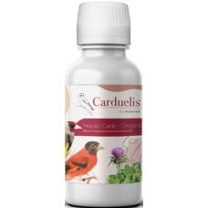 Avianvet - Carduelis hepa cardo+ oregano- υγρό προστατευτικό ήπατος για καρδερίνες & σπίνους 240ml