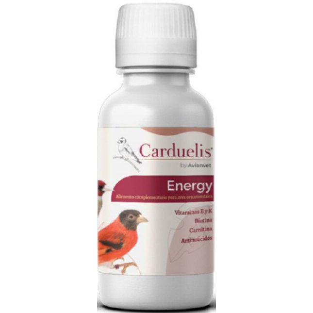 Avianvet - Carduelis energy- Σύμπλεγμα βιταμινών Β, Κ3, καρνιτίνη, βιοτίνη & αμινοξέα 100ml