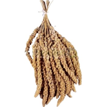 Padovan σπόροι κεχριού 500g χύμα
