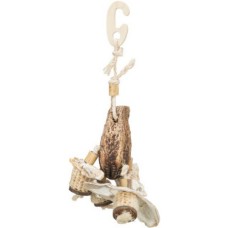 Trixie παιχνίδι natural από φλούδα μαόνι/κοχύλια 26cm Trixie παιχνίδι natural από φλούδα μαόνι/κοχύλια 26cm