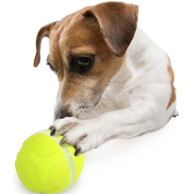 AFP εκπαιδευτικό παιχνίδι σκύλου διαδραστικός διανομέας Lucky Tret με κυλιόμενη μπάλα 28x18x19 cm