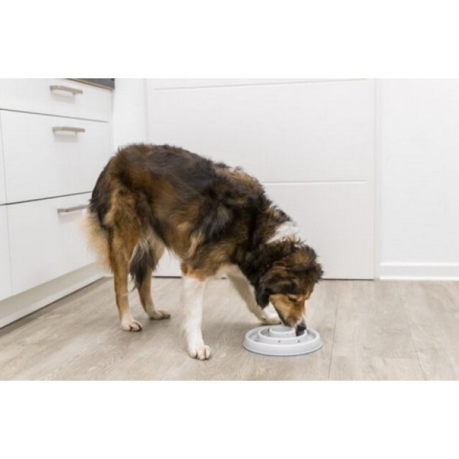 Trixie πιάτο αργού ταΐσματος πλαστικό/tpr 0.45l/23cm γκρι Trixie πιάτο αργού ταΐσματος πλαστικό/tpr 0.45l/23cm γκρι