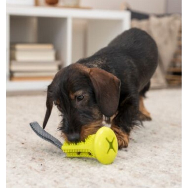 Trixie βάση για λιχουδιές κουδούνι με λαβή και ο σκύλος σας θα διασκεδάσει 11x22cm από trp/polyester