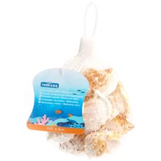 Nobleza Διακοσμητικά Κοχύλια Bufonaria 6-8cm 150g Nobleza Διακοσμητικά Κοχύλια Bufonaria 6-8cm 150g