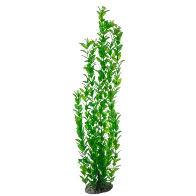 Nobleza Διακοσμητικό ενυδρείου φυτό 60cm 1τμχ