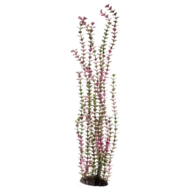 Nobleza Διακοσμητικό ενυδρείου φυτό 60cm 1τμχ Nobleza Διακοσμητικό ενυδρείου φυτό 60cm 1τμχ