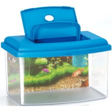 Georplast Πλαστικό ενυδρείο 2 με καπάκι 28 x 20 x 17 cm 5,50lt Georplast Πλαστικό ενυδρείο 2 με καπάκι 28 x 20 x 17 cm 5,50lt