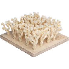 Bunny Nature Snuffleboard Διαδραστικό παιχνίδι 24,2x9x24,2 cm Bunny Nature Snuffleboard Διαδραστικό παιχνίδι 24,2x9x24,2 cm
