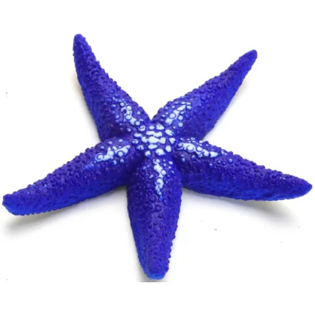 Nobleza Διακοσμητικό ενυδρείου αστερίας 12x11x1.5cm Nobleza Διακοσμητικό ενυδρείου αστερίας 12x11x1.5cm