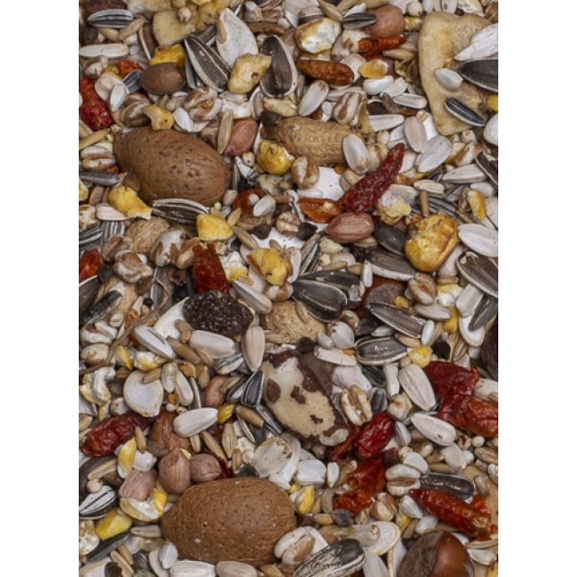 Deli Nature Birdelicious Πλήρης τροφή με εκλεκτούς ξηρούς καρπούς 750gr Deli Nature Birdelicious Πλήρης τροφή με εκλεκτούς ξηρούς καρπούς 750gr