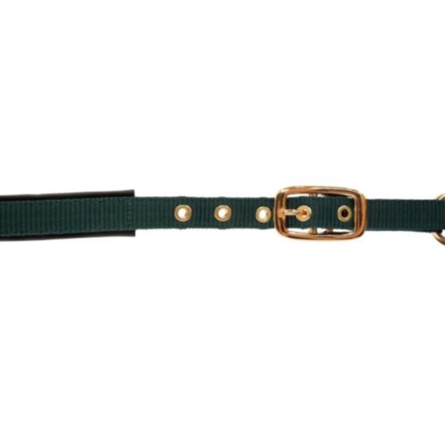 Kerbl Foal TopLine κυπαρισσί καπίστρι Kerbl Foal TopLine κυπαρισσί καπίστρι