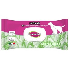 Inodorina μαντηλάκια χλωρεξιδίνης 20cm x 30cm 40τμχ Inodorina μαντηλάκια χλωρεξιδίνης 20cm x 30cm 40τμχ