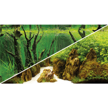 Hobby πόστερ τροπικό canyon / woodland 2 όψεων 100x50cm Hobby πόστερ τροπικό canyon / woodland 2 όψεων 100x50cm