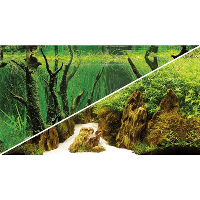 Hobby πόστερ τροπικό canyon / woodland 2 όψεων 100x50cm Hobby πόστερ τροπικό canyon / woodland 2 όψεων 100x50cm
