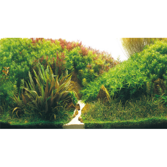 Hobby αφίσα Background Hobby αφίσα Background