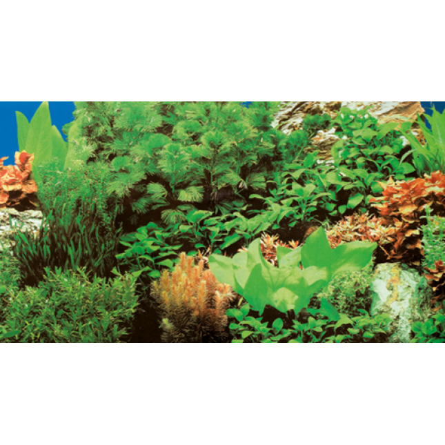 Hobby Αφίσα φόντο για ενυδρεία προσαρμοσμένο στα μέτρα σας φυτά 8 / Marin Blue Hobby Αφίσα φόντο για ενυδρεία προσαρμοσμένο στα μέτρα σας φυτά 8 / Marin Blue