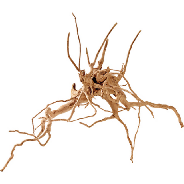 Hobby Φυσικό ξύλο Fingerwood 61-80cm Hobby Φυσικό ξύλο Fingerwood 61-80cm