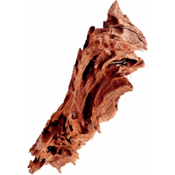 Hobby Mangrove Wood, διακοσμητικά μαγκρόβια ξύλα XS Hobby Mangrove Wood, διακοσμητικά μαγκρόβια ξύλα XS
