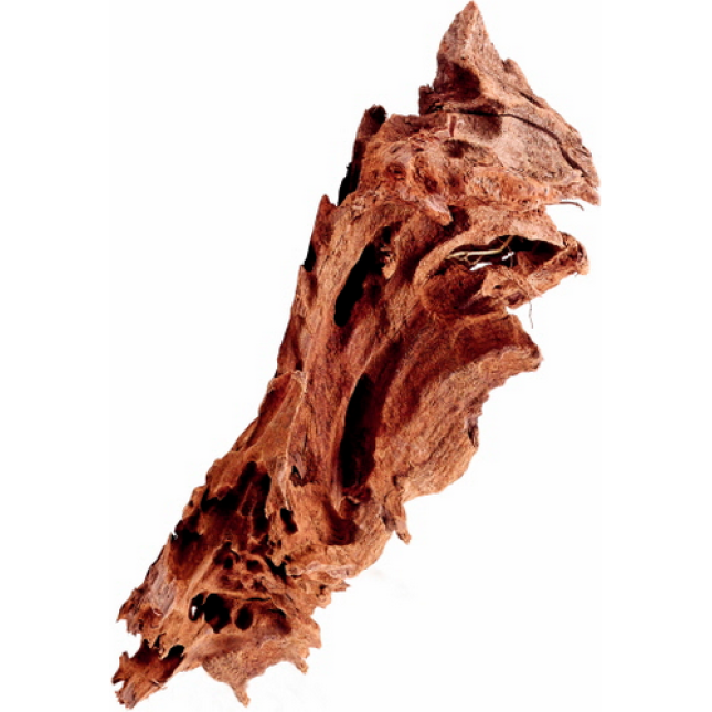 Hobby Mangrove Wood, διακοσμητικά μαγκρόβια ξύλα XS Hobby Mangrove Wood, διακοσμητικά μαγκρόβια ξύλα XS