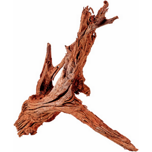Hobby Mangrove Wood, διακοσμητικά μαγκρόβια ξύλα L Hobby Mangrove Wood, διακοσμητικά μαγκρόβια ξύλα L