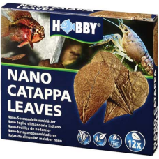 Hobby φύλλα Catappa Leaves για τη θεραπεία βακτηριακών παθήσεων και την επούλωση τραυμάτων ψαριών Hobby φύλλα Catappa Leaves για τη θεραπεία βακτηριακών παθήσεων και την επούλωση τραυμάτων ψαριών