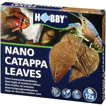 Hobby φύλλα Catappa Leaves για τη θεραπεία βακτηριακών παθήσεων και την επούλωση τραυμάτων ψαριών Hobby φύλλα Catappa Leaves για τη θεραπεία βακτηριακών παθήσεων και την επούλωση τραυμάτων ψαριών