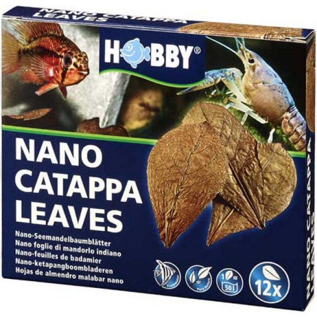 Hobby φύλλα Catappa Leaves για τη θεραπεία βακτηριακών παθήσεων και την επούλωση τραυμάτων ψαριών Hobby φύλλα Catappa Leaves για τη θεραπεία βακτηριακών παθήσεων και την επούλωση τραυμάτων ψαριών