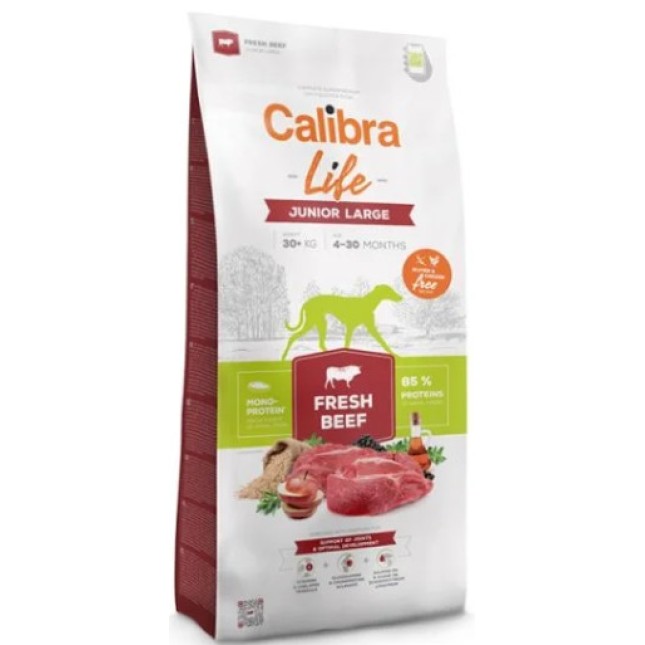 Calibra Life Μονοπρωτεϊνική τροφή με μοσχάρι για μεγαλόσωμους νεαρούς σκύλους 3-12 μηνών 2.5kg Calibra Life Μονοπρωτεϊνική τροφή με μοσχάρι για μεγαλόσωμους νεαρούς σκύλους 3-12 μηνών 2.5kg