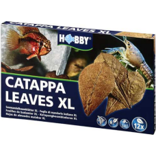 Hobby φύλλα Catappa Leaves XL για τη θεραπεία βακτηριακών παθήσεων και την επούλωση τραυμάτων ψαριών Hobby φύλλα Catappa Leaves XL για τη θεραπεία βακτηριακών παθήσεων και την επούλωση τραυμάτων ψαριών