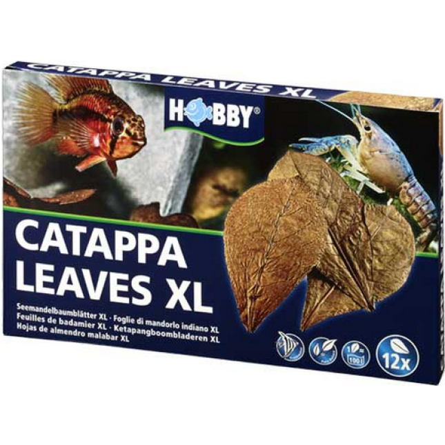 Hobby φύλλα Catappa Leaves XL για τη θεραπεία βακτηριακών παθήσεων και την επούλωση τραυμάτων ψαριών Hobby φύλλα Catappa Leaves XL για τη θεραπεία βακτηριακών παθήσεων και την επούλωση τραυμάτων ψαριών