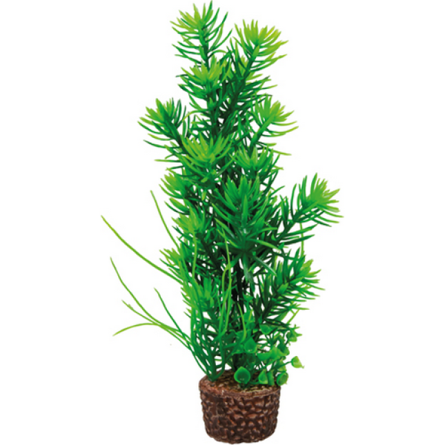 Hobby Διακοσμητικό φυτό Flora Stone 5 4 x 25 cm Hobby Διακοσμητικό φυτό Flora Stone 5 4 x 25 cm