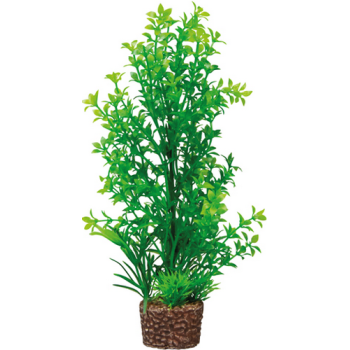 Hobby Διακοσμητικό φυτό Flora Stone 6 4 x 25 cm Hobby Διακοσμητικό φυτό Flora Stone 6 4 x 25 cm