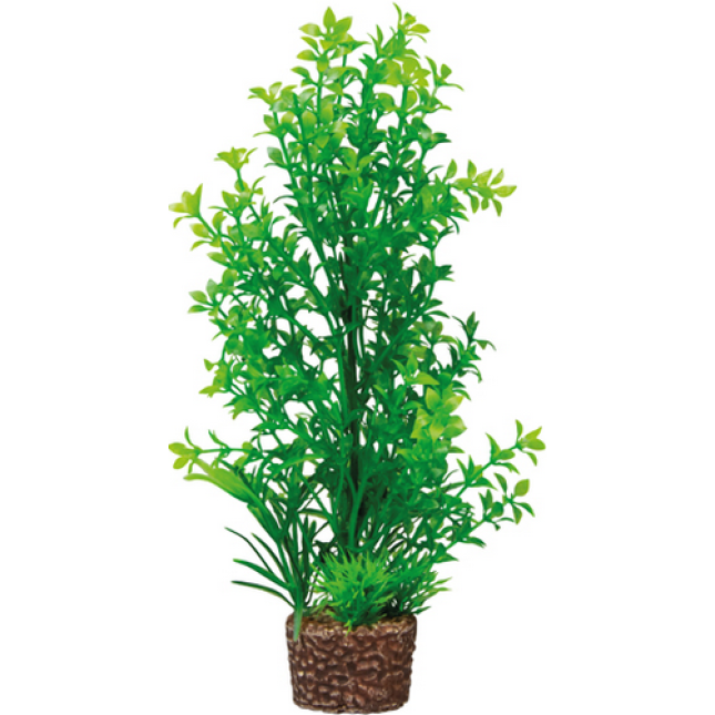 Hobby Διακοσμητικό φυτό Flora Stone 6 4 x 25 cm Hobby Διακοσμητικό φυτό Flora Stone 6 4 x 25 cm