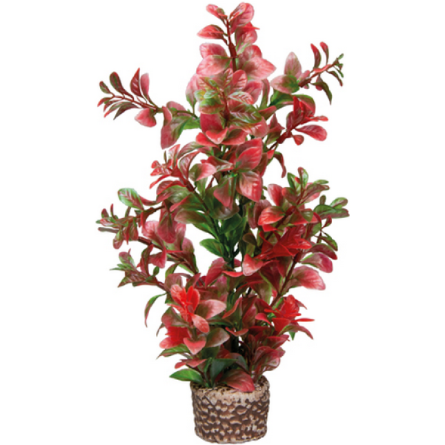Hobby Διακοσμητικό φυτό Flora Stone 7 4 x 25 cm Hobby Διακοσμητικό φυτό Flora Stone 7 4 x 25 cm